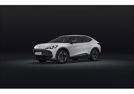 Cupra Tavascan Endurance 210 kW / (286 PS) / 77 kWh 5 Türen