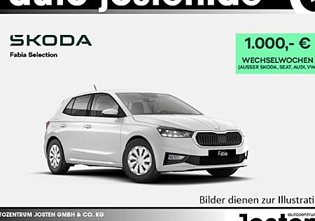 Skoda Fabia 1.0l MPI 59kW Selection 5 Türen