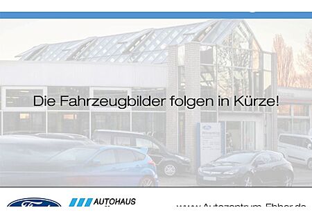 Ford Tourneo Custom 2.0 EcoBlue 100kW 320 L2 Titanium Auto 4 Türen
