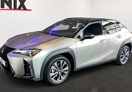 Lexus UX 300h F Sport Design 5 Türen