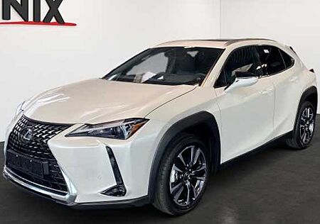 Lexus UX 250h Executive Line 5 Türen