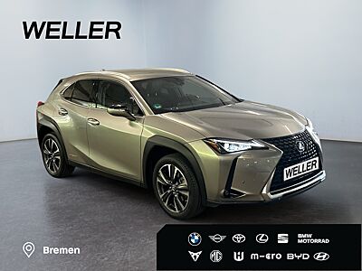 UX 250h Style Edition Bi-LED*ACC*CAM*SHZ*CarPlay
