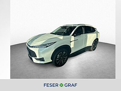 HS PHEV Luxury *Preis nur mit Finanzierung*