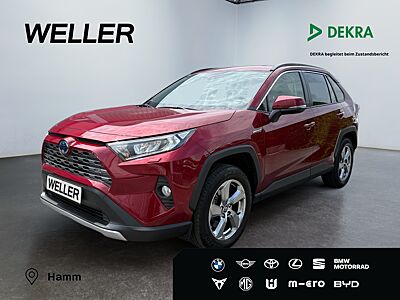 RAV 4 2.5 Hybrid Team D *LED*el. Heck*CAM*ACC*SHZ*DAB*