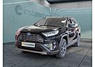 Toyota RAV 4 2.5 Hybrid Team D NAVI SHZ PDC KLIMA LM