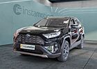 Toyota RAV 4 2.5 Hybrid Team D NAVI SHZ PDC KLIMA LM