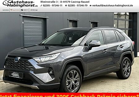 Toyota RAV 4 2.5 Hybrid CVT 4x4 Active Navi LED PDC e.Hk 18Alu