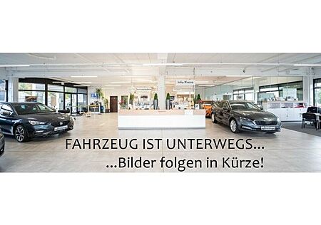 Skoda Fabia 1.0 TSI Style PDC KAM AMUNDSEN SHZ LED