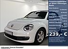 VW Beetle Cabriolet 2.0 TDI Sitzheizung Navigation