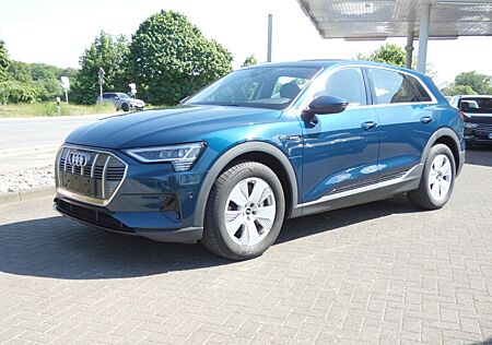 Audi e-tron 50 quattro Assistenz-Paket Tour Klima