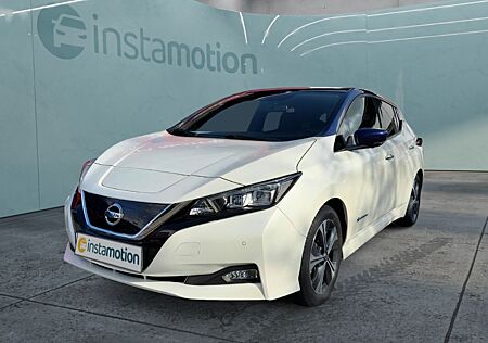 Nissan Leaf Tekna (ZE1) 40 kWh Sitzhzg. Kamera Navi