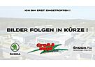 Skoda Fabia IV Tour 1,0TSI 81 KW PDC SHZ beh WSS +Lenk