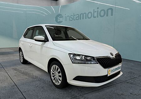 Skoda Fabia Active 1.0 MPI Klima Freisprech PDC DAB