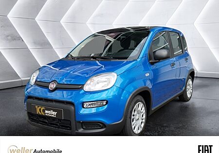 Fiat Panda Pandina Parksensoren Klima Bluetooth 3. Sitz hinten