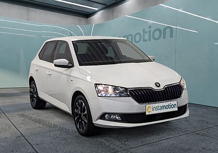 Skoda Fabia Drive 125 CarPlay ACC Klima PDC Kessy KAM