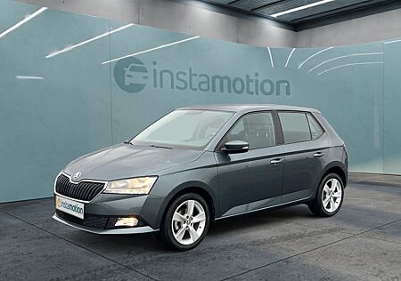 Skoda Fabia Active 1.0|KLIMA|SITZHEIZUNG|EINPARKH.|DAB