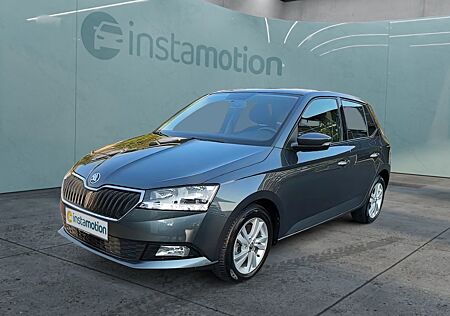 Skoda Fabia 1.0 TSI CarPlay Musikstreaming DAB Notbremsass.