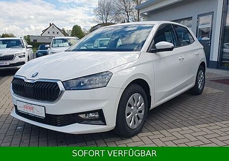 Skoda Fabia 1.0 Selection *TEMPO*SHZ*VirtualCo*PDC