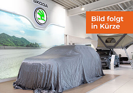 Skoda Kamiq Drive 1.0 TSI Navi Kamera Sitzheizung PDC