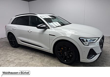 Audi e-tron 55 quattro S line Klima Navi