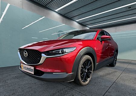 Mazda CX-30 SKYACTIV-G 2.0 M Hybrid Selection Design-Paket i-Activsense-Paket