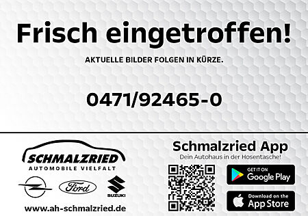 Ford Tourneo Courier Active 1.0 Navi ACC Klimaautom DAB SHZ LenkradHZG Keyless Totwinkelassistent