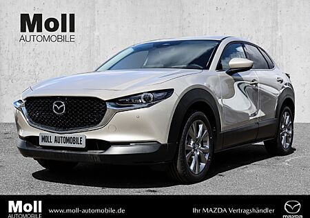 Mazda CX-30 e-SKYACTIV G 150PS 6MT FWD Exclusive DES-P DRA-P Leder