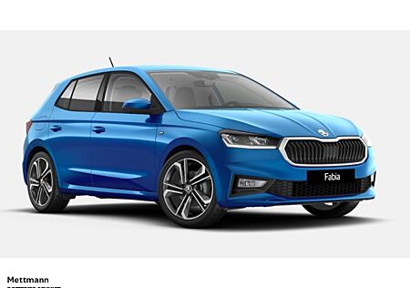 Skoda Fabia Drive 1.0 TSI DSG Assistenzpaket Winterpaket