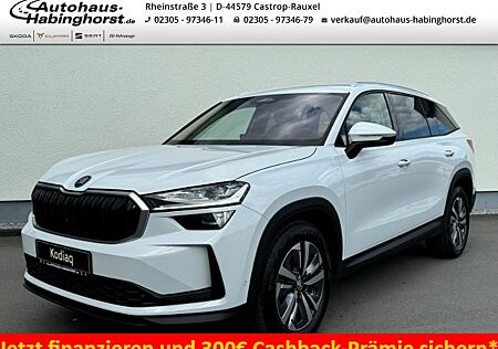 Skoda Kodiaq II 2.0 TDI DSG 4x4 Selection 360 Kessy Matrix AHK Navi