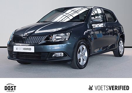 Skoda Fabia 1.0 TSI Ambition SHZ+KLIMA+GRA