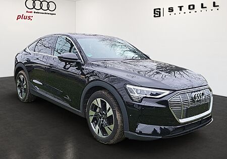 Audi e-tron 50 Spb. quattro Pano+B&O+AHK+++