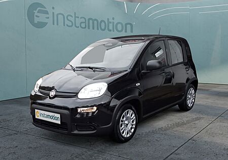 Fiat Panda Mild Hybrid Pandina 1.0,City Paket,USB,PDC