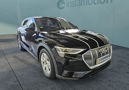 Audi e-tron 50 Q AHK KAMERA VIRTUAL LM19