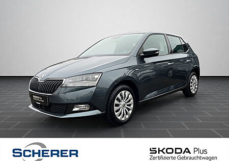 Skoda Fabia 1.0 TSI Drive 125 Navi, Pano, ACC, PDC, LED