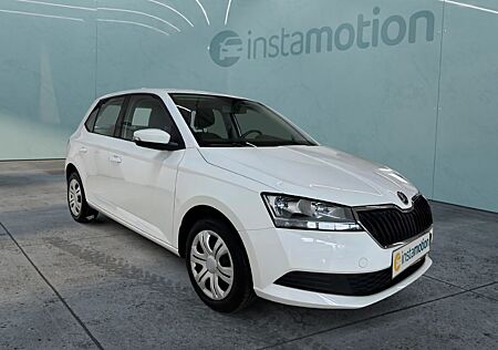 Skoda Fabia Active 1.0 MPI PDC DAB Freisprech Klima