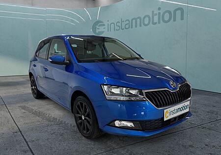 Skoda Fabia Style 1.0 TSI Navi SHZ Keyless Climatronic Tempomat