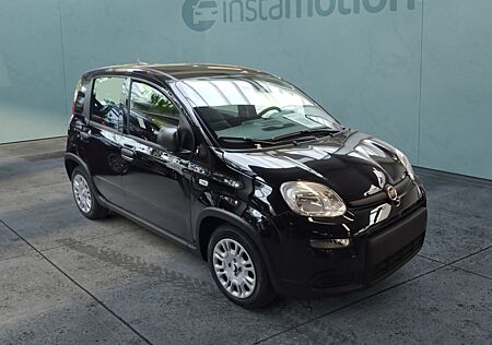 Fiat Panda 1.0 Digitales Cockpit, Spurhalte, Tempomat