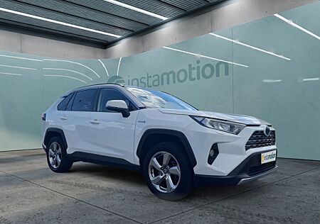 Toyota RAV 4 Hybrid 4x2 Team D*KAMERA*AHK*PDC*TWW*LENKRADHEIZUNG*