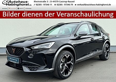 Cupra Formentor 2.0 TSI DSG VZ 4Drive Pano 360 e.Hk Memory Navi