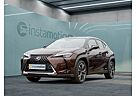 Lexus UX 250h LUXURY LINE LEDER NAVI MATRIX HuD