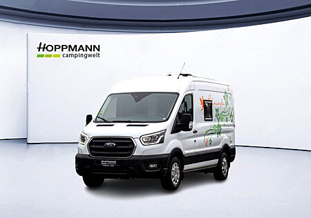 Ford Transit Camper Eigenumbau