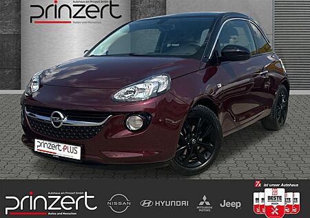 Opel Adam 1.4 "120 Jahre" Navi*Teilleder*Sicht-Paket*Metallic