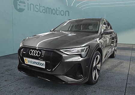 Audi e-tron 50 Q S LINE MATRIX eSITZE LM21