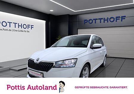 Skoda Fabia 1.0 TSI Cool Plus PDC Winter Klima