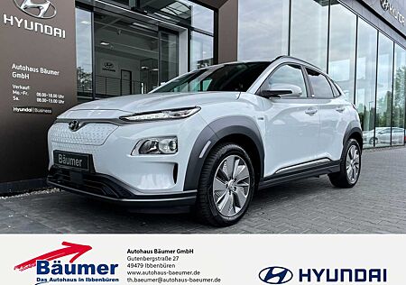 Hyundai Kona Elektro Advantage 39,2 kWh+ DAB + CAM + NAV