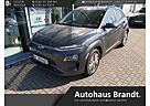 Hyundai Kona Elektro Style 2WD Navi Soundsystem LED ACC Apple CarPlay Android Auto Musikstreaming