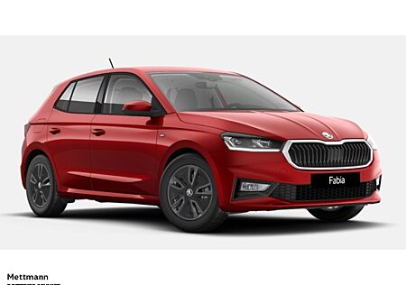 Skoda Fabia Drive 1.0 TSI DSG Winterpaket Infotainment Amundsen