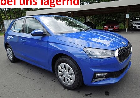 Skoda Fabia 1.0 TSI Selection/LED/Sitzheizung/PDC/MFL