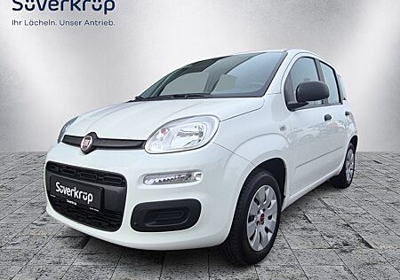 Fiat Panda 1.2 Pop *Klima* wenig KM