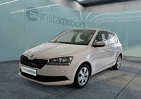 Skoda Fabia 1.0 TSI Cool Plus Klima Fenster el.